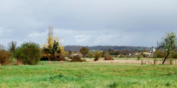 Les coteaux boisés en rive droite de la Dordogne forment ici les prémices du département du même nom, Mouliets-et-Villemartin