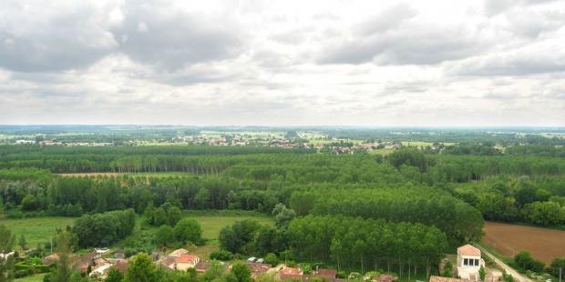 La vallée de la Garonne est parfois couverte de peupleraies, Sainte-Croix-du-Mont 