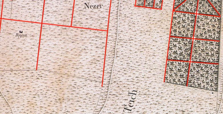 Le plan géométrique de la forêt Nézer, sur la commune du Teich (33), d'après la carte de Belleyme 