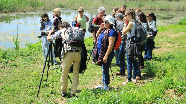 visite guidée sur l'Île Nouvelle