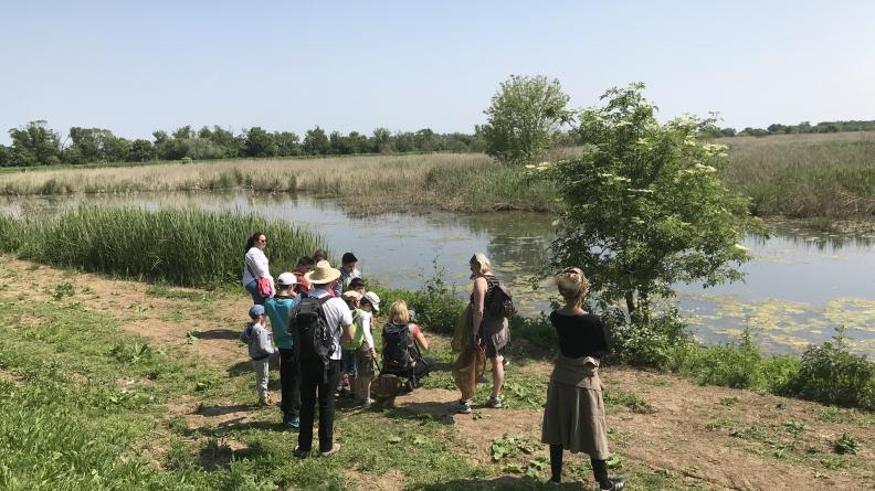 Visite guidée sur l'Île Nouvelle