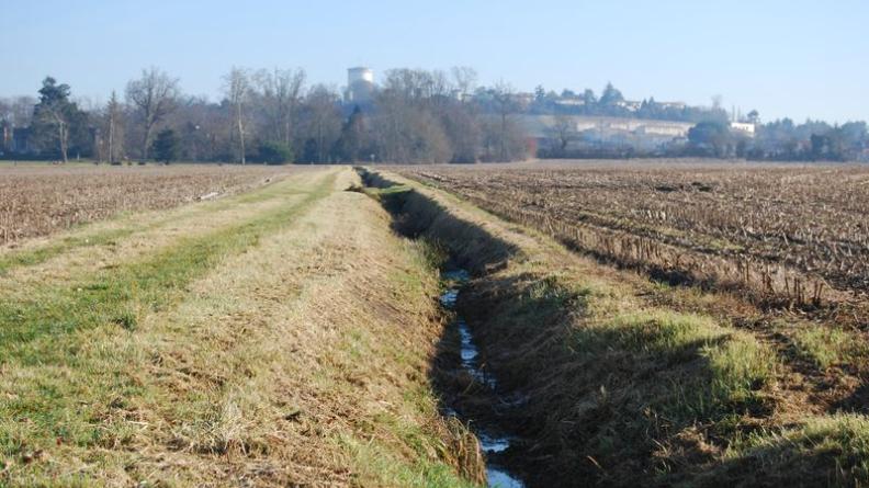 La structure parcellaire est soulignée par les canaux de drainage - Saint-André-de-Cubzac