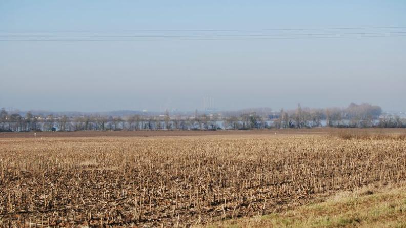 De vastes parcelles de maïsiculture s'étirent jusqu'aux berges de la Dordogne - Saint-André-de-Cubzac