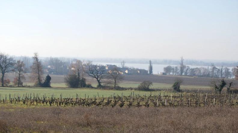 Point de vue depuis Peyrelevade sur le hameau de Plagne et le marais - Saint-André-de-Cubzac