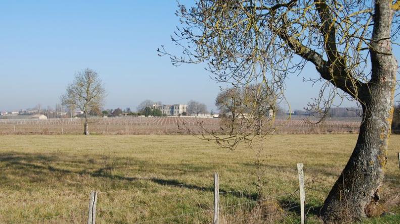 Les pentes viticoles dominées par château Grissac - Prignac-et-Marcamps