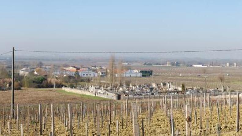 Légèrement en pente, les versants ouvrent de larges vues sur le marais, jusqu'à la Dordogne