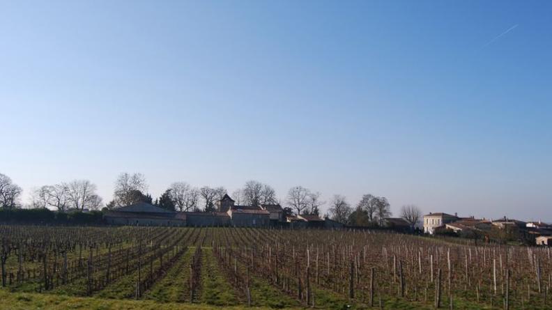 Alignés sur la crête, les bâtiments du hameau de Coubet dessinent un profil agrémenté par les arbres - Prignac-et-Marcamps