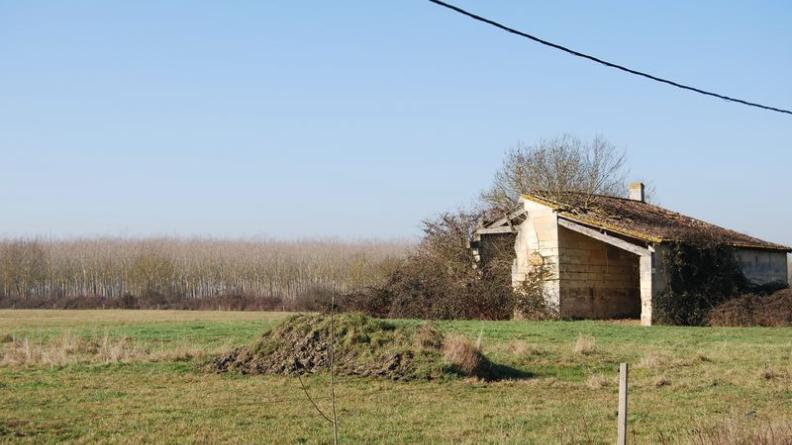 Une grange en ruine dans le marais - Prignac-et-Marcamps