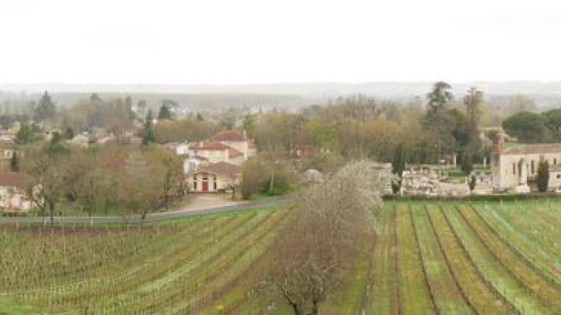 A gauche, le bâti reste groupé, l'église soulignant la limite d'extension du village ; quelques habitations commencent à s'implanter au-delà - Pessac-sur-Dordogne