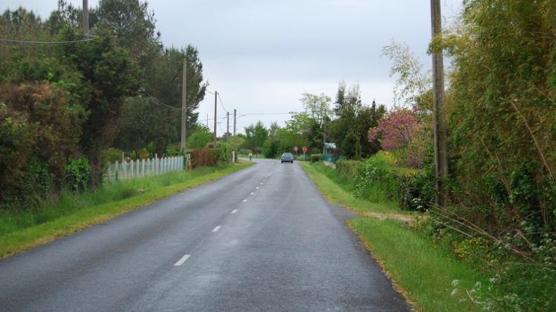 Les jardins privés créent un couloir végétal, rappelant certaines routes des marais - Talais