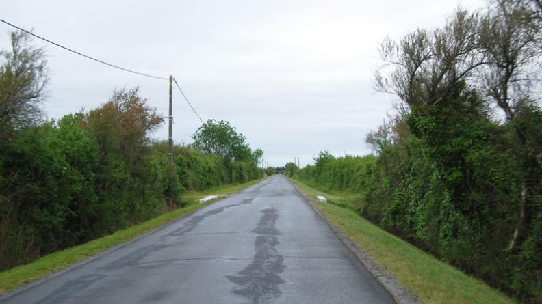 Des haies denses accompagnent les fossés, délimitant des couloirs fermés à travers les palus - Saint-Vivien-de-Médoc