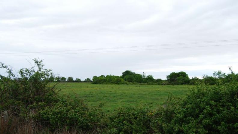 Quelques ouvertures permettent de découvrir les marais au-delà de ces haies - Saint-Vivien-de-Médoc