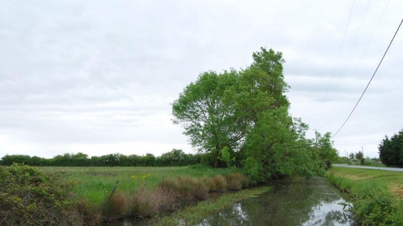 Le long fossé rectiligne de la route de la Plage - Saint-Vivien-de-Médoc
