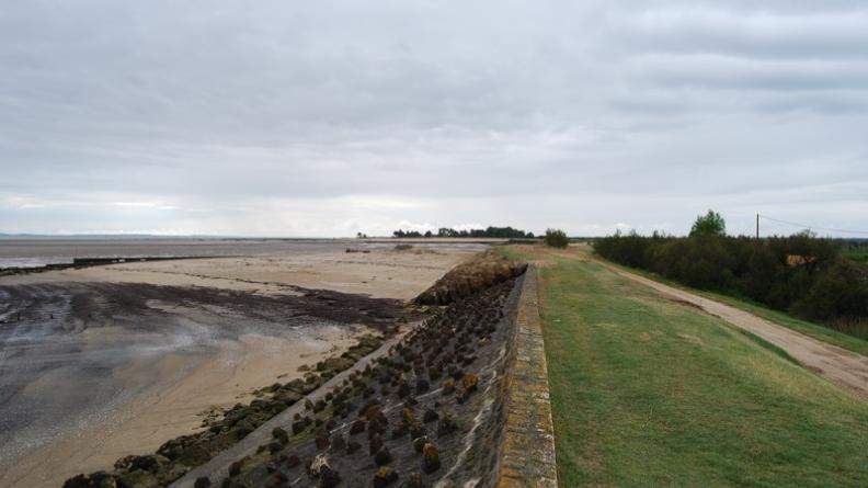La digue offre des points de vue à valoriser - Saint-Vivien-de-Médoc
