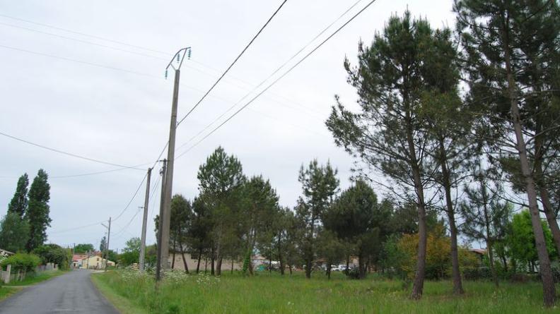 La présence notable des pins souligne l'implantation du village, en bordure du plateau landais - Vensac