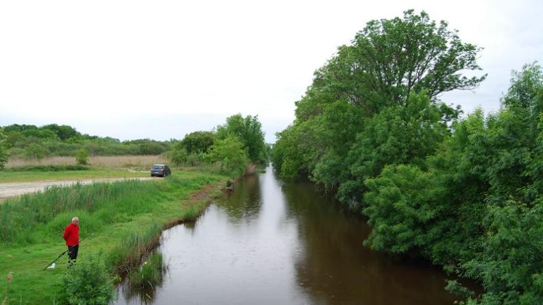 Le chenal du Gua et ses berges boisées - Vensac