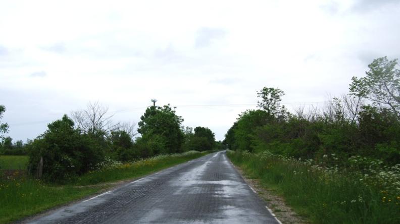 Une gestion adaptée de la végétation permettrait d'offrir des vues vers les marais - Queyrac
