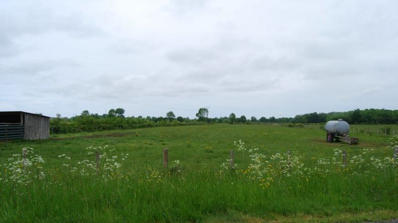 Les ripisylves composent des espaces plus restreints, correspondant aux mailles du réseau des canaux - Queyrac