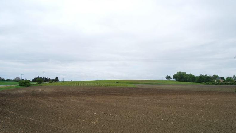 Les terres plus hautes sont réservées à la vigne - Civrac-Médoc