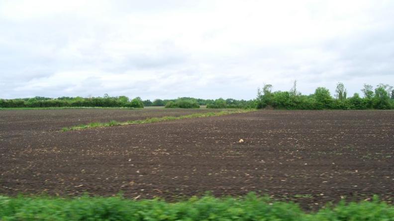 Les haies, et même de simples herbacées, soulignent ici le réseau hydraulique - Lesparre-Médoc