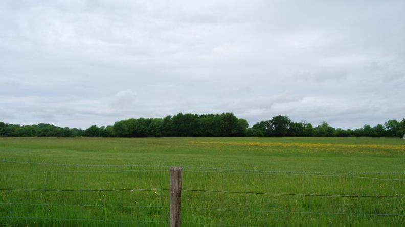 L'hippodrome s'implante sur les prairies marécageuses - Lesparre-Médoc