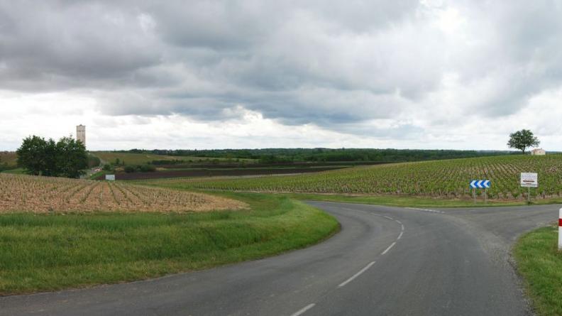 Le chenal de la Calupeyre dessine une large vallée de marais entre les croupes viticoles - Saint-Seurin-de-Cadourne