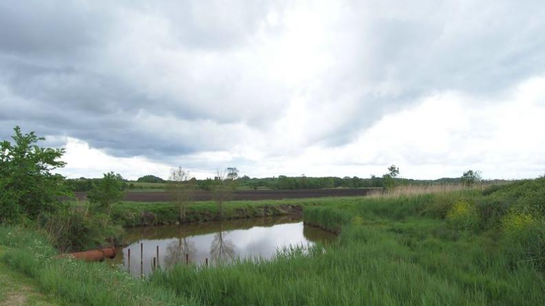 Les prairies en bords de jalles dessinent des paysages précieux, souvent menacés d'enfrichement - Saint-Seurin-de-Cadourne