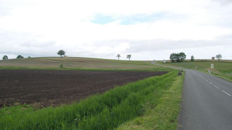 La couleur du sol différencie de façon très nette les champs des vallées et les vignes des buttes - Saint-Seurin-de-Cadourne
