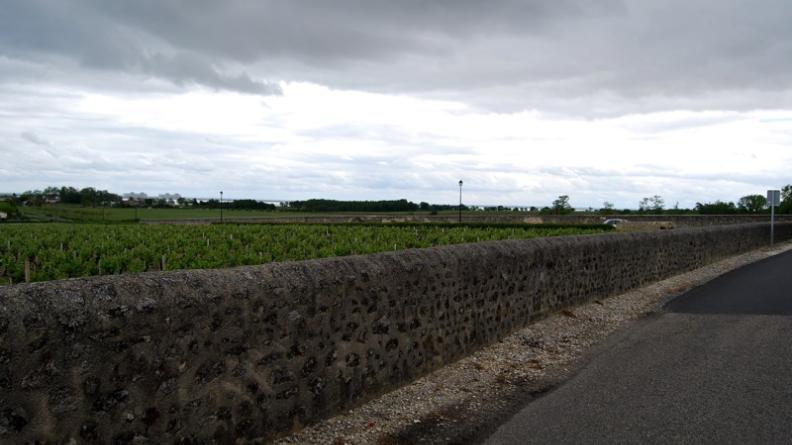 Murets bien entretenus accompagnant les vignes - Saint-Estèphe