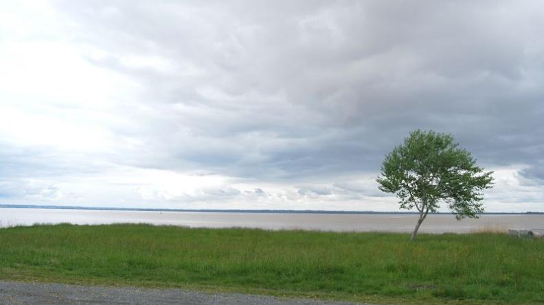 Depuis la route de la berge, l'estuaire se révèle dans toute son ampleur - Saint-Estèphe