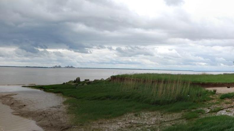 Les berges présentent un riche estran vaseux, surplombé par de larges quais aux alignements majestueux, rencontre des milieux naturels et du paysage anthropique construit - Saint-Estèphe