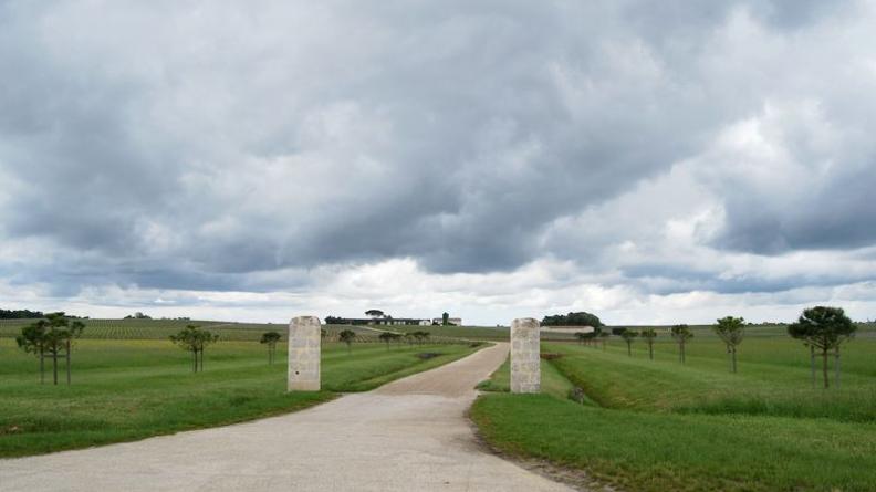 Château Meyney étire son allée plantée jusqu'au pied du coteau - Saint-Estèphe