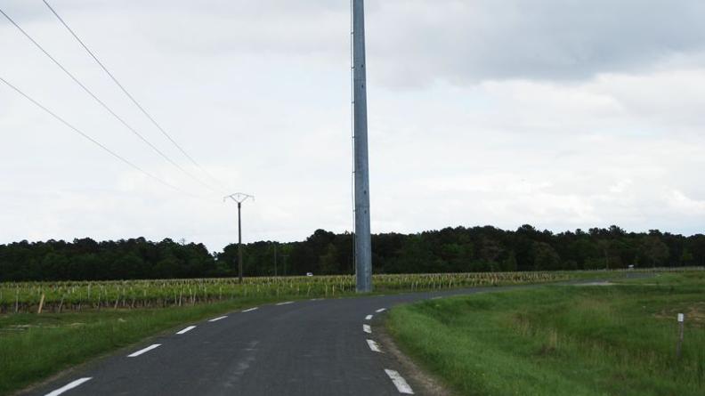 La clairière est très nettement délimitée par une lisière en muraille végétale - Listrac-Médoc