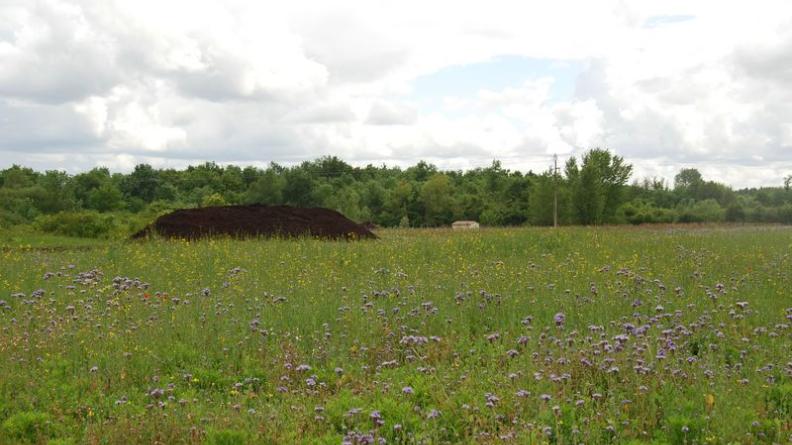 A proximité de la forêt, les villages sont entourés de franges de prairies - Moulis-en-Médoc