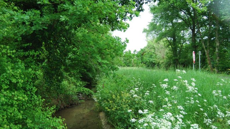 Cours d'eau à entretenir - Moulis-en-Médoc