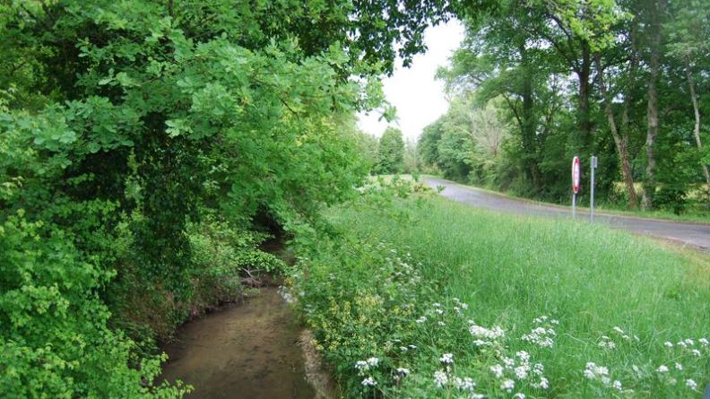 La route longe l'estey du Houguey, formant une ouverture plus lumineuse dans les boisements - Moulis-en-Médoc