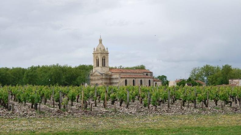 Les graves blanches des vignes répondent aux pierres calcaires du bâti - Margaux