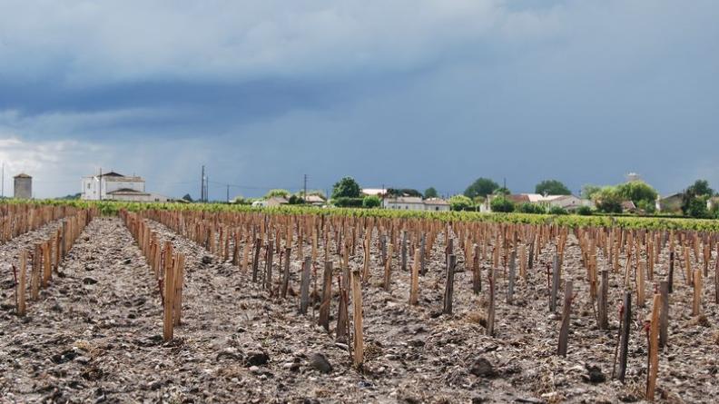 De taille variable, les graves sont souvent visible dans la terre à nu des parcelles viticoles - Cantenac