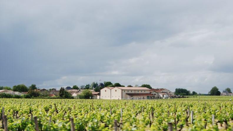 Le hameau d'Issan offre une silhouette intéressante : les chais de Château Palmer sont mis en avant tandis que les arbres forment une lisière urbaine végétale autour des habitations récentes - Cantenac