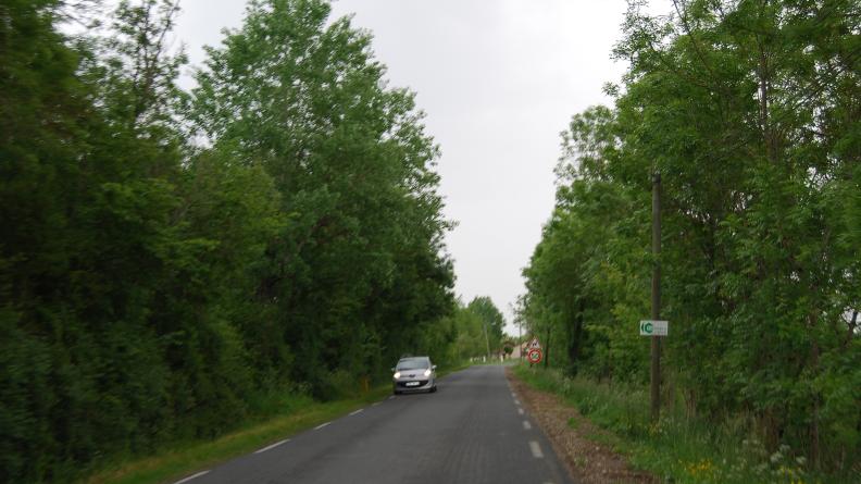 La végétation opaque des bords de route occulte ici toute vue vers les marais - Ludon-Médoc