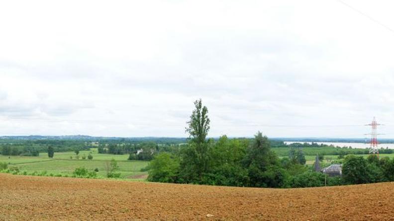 Depuis les hauteurs à l'est de Bourg, l'étendue plane et verdoyante du marais se révèle.