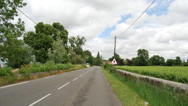 Les berges accueillent encore quelques domaines viticoles, protégés par de hauts murs-digues - Saint-Louis-de-Montferrand
