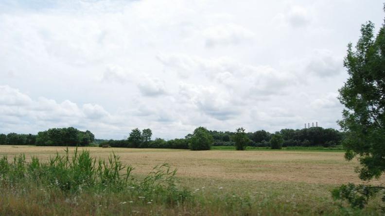 Les larges prairies de fauche, très dégagées, dessinent un paysage plus ouvert que les anciennes pâtures bocagères - Ambès