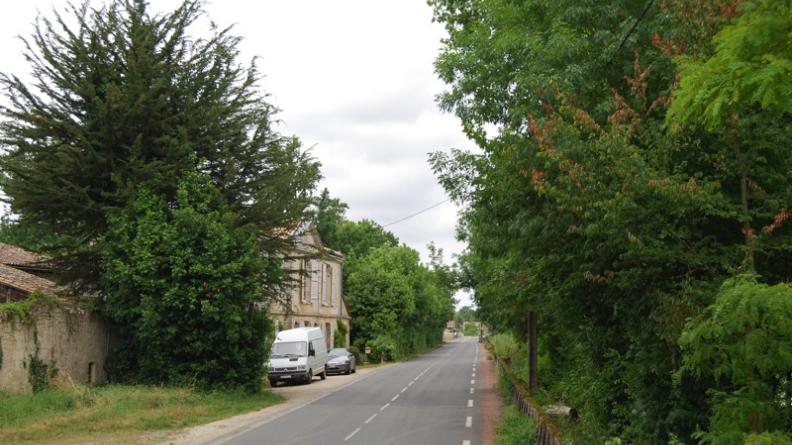 Le patrimoine bâti n'est pas valorisé et la ripisylve mal gérée coupe toute vue sur la Dordogne - Ambès