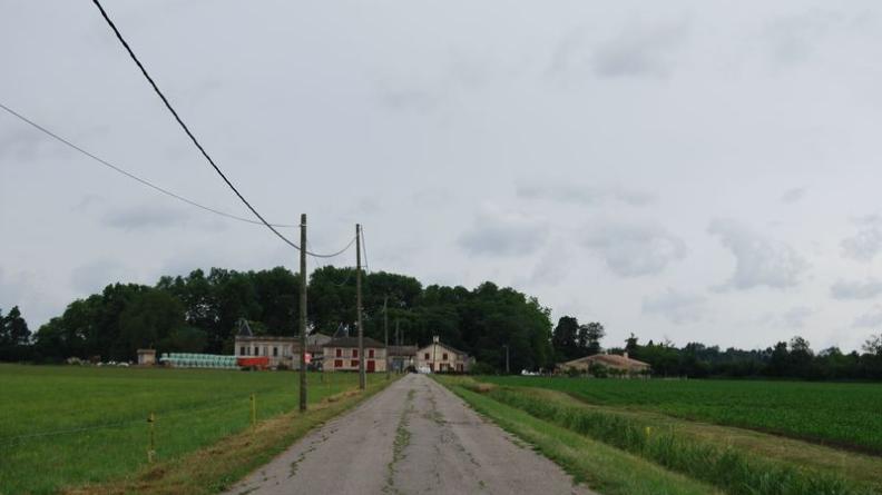 Au long des berges s'égrènent diverses exploitations : ici château Couffins, devant la ripisylve de la Dordogne