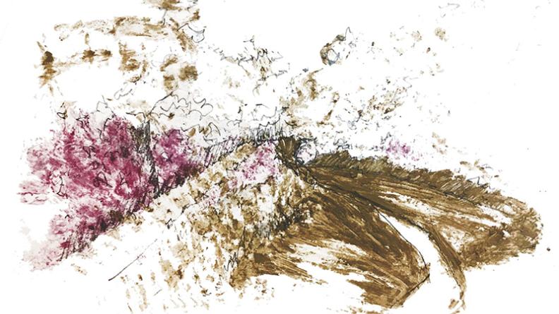 Atlas des paysages - dessin Langoiran