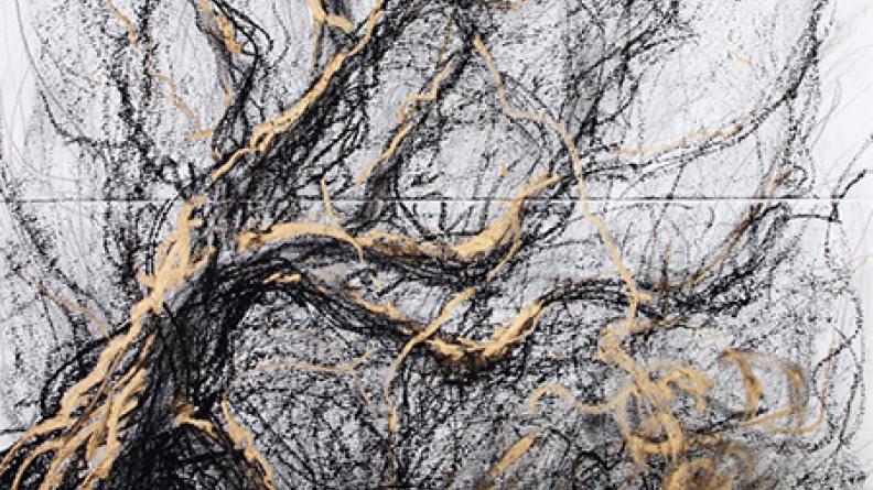 Atlas des paysages - dessin landes girondines