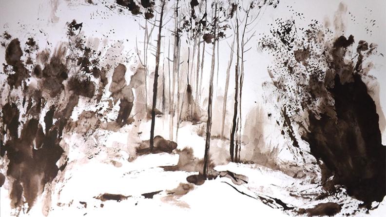 Atlas des paysages - dessin landes girondines