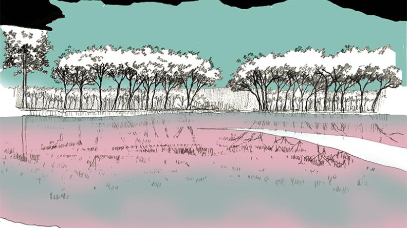 Atlas des paysages - dessin landes girondines