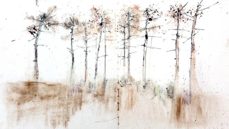 Atlas des paysages - dessin Hourtin Carcans